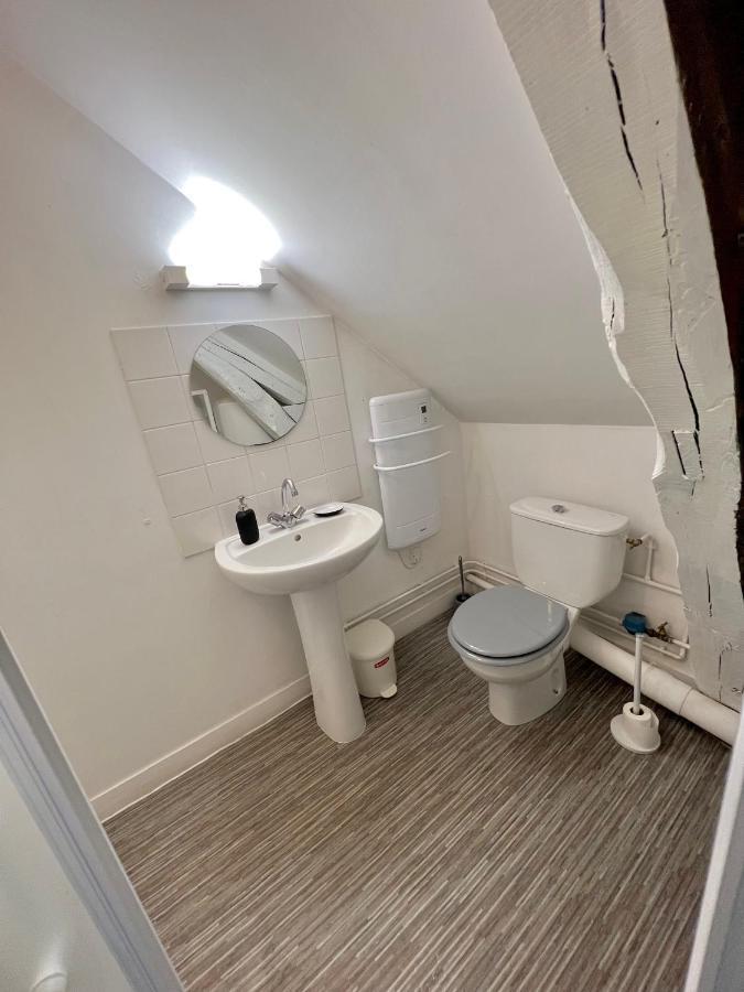 Bel Appartement Lumineux 35M2, Bord De Loire Saint-Jean-le-Blanc Kültér fotó