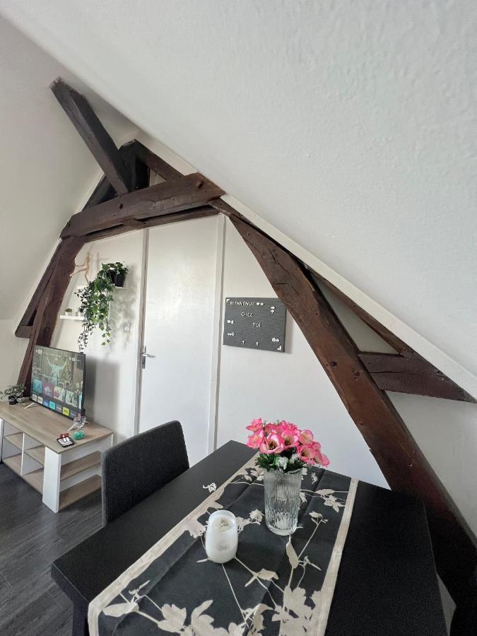 Bel Appartement Lumineux 35M2, Bord De Loire Saint-Jean-le-Blanc Kültér fotó