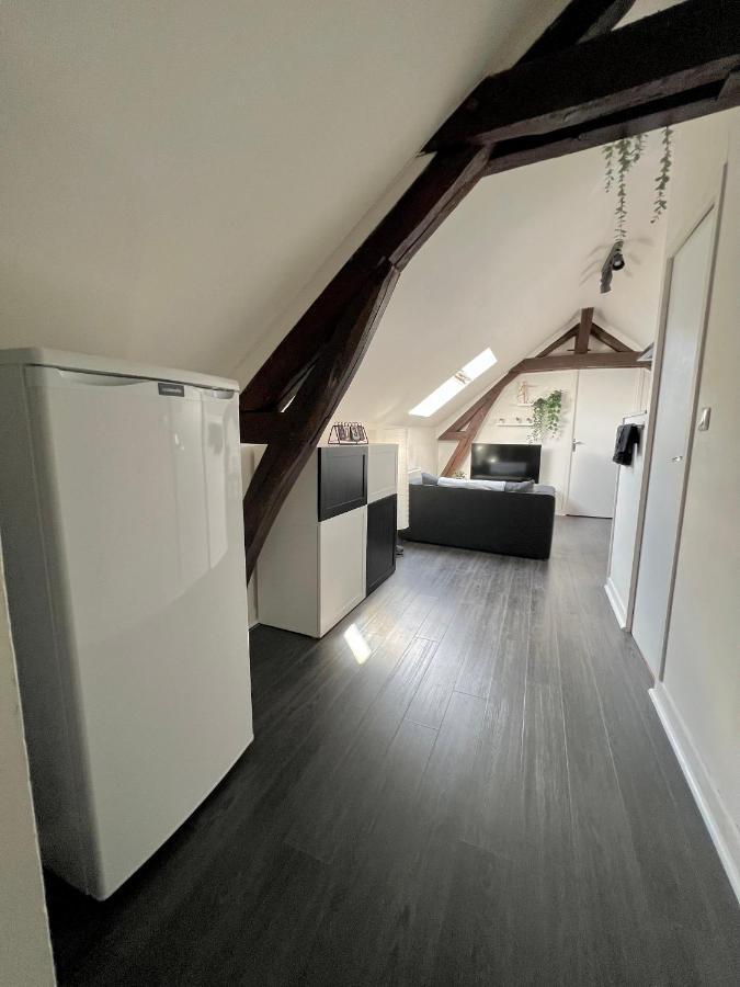 Bel Appartement Lumineux 35M2, Bord De Loire Saint-Jean-le-Blanc Kültér fotó