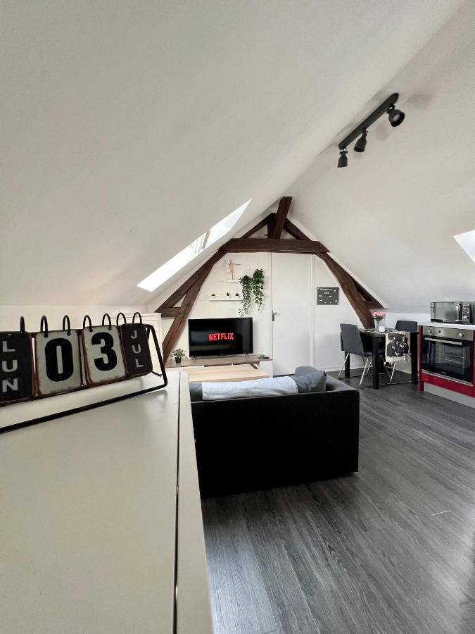 Bel Appartement Lumineux 35M2, Bord De Loire Saint-Jean-le-Blanc Kültér fotó