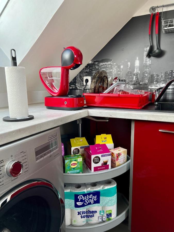 Bel Appartement Lumineux 35M2, Bord De Loire Saint-Jean-le-Blanc Kültér fotó