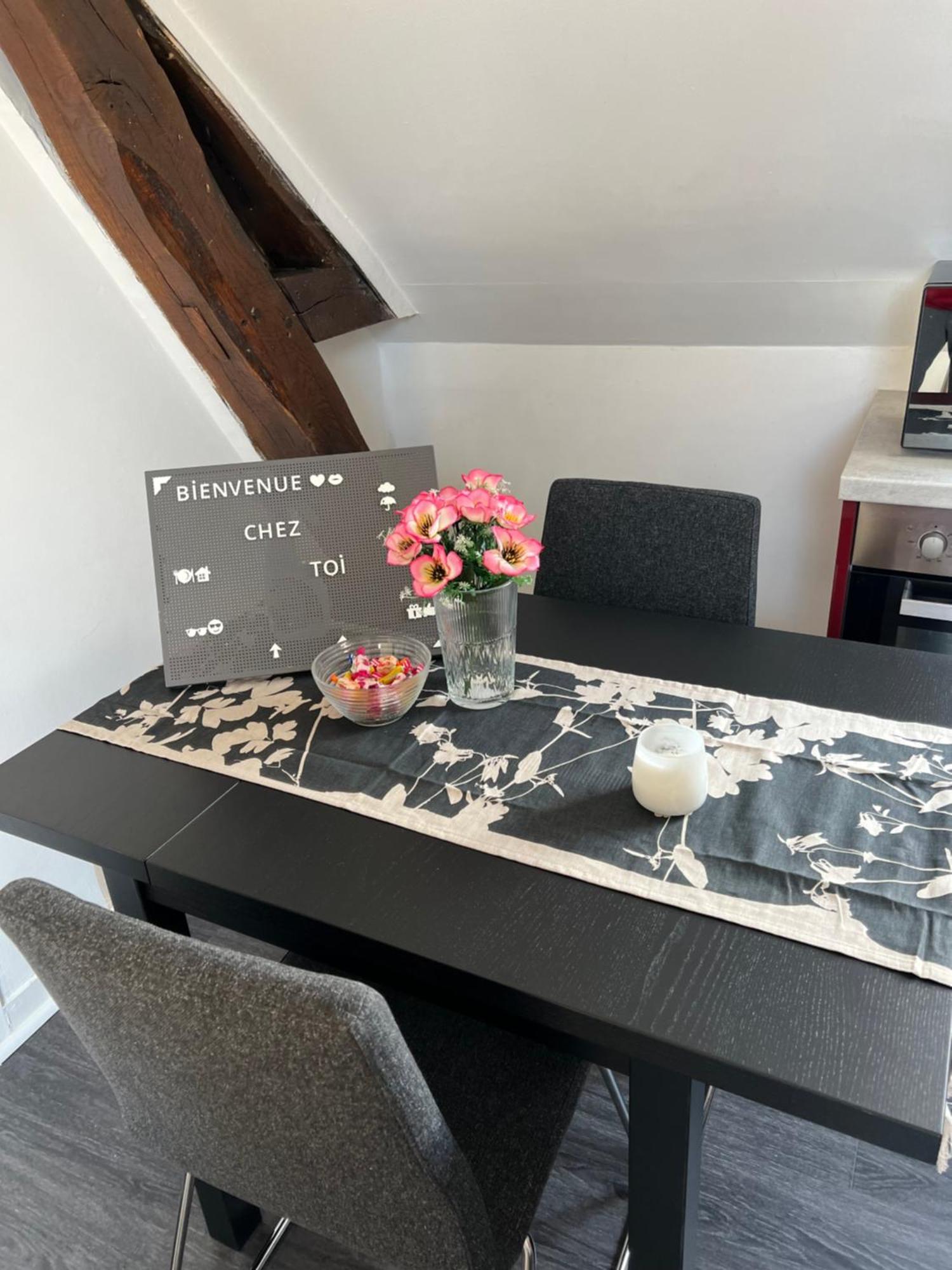 Bel Appartement Lumineux 35M2, Bord De Loire Saint-Jean-le-Blanc Kültér fotó